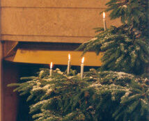 Christmas Tree with true candles